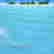 item-121432982=2