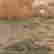 item-127741615=2