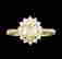 item-129029894=2