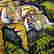 item-129030369=2