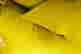 item-131294032=6