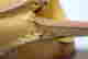 item-131294036=9