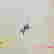 item-131656437=2