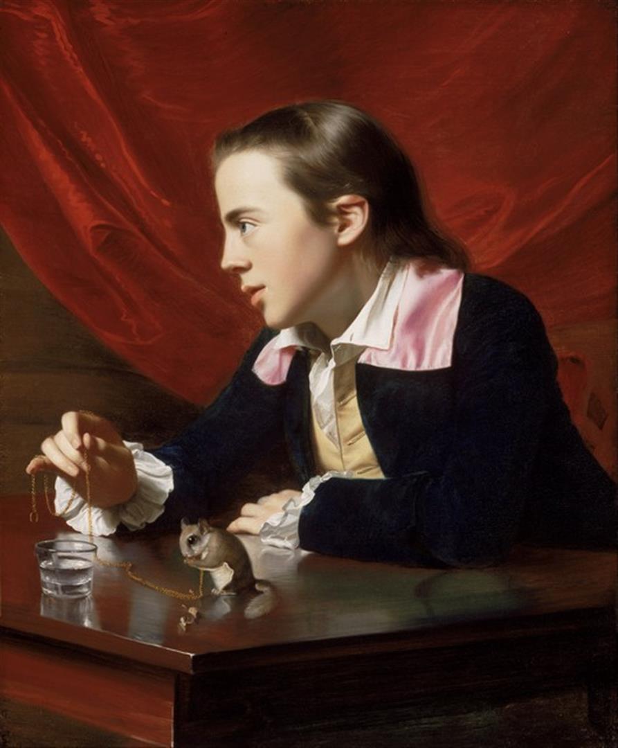 John Singleton Copley - A Boy with a Flying Squirrel: Artist: John Singleton Copley - Title: A Boy with a Flying Squirrel - Medium: Fine Art Giclee on Canvas - Image Size: Approximately 32 inches x 26.5 inches - Framed: Unframed on Unstretched Canvas - B