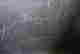 item-134409317=6