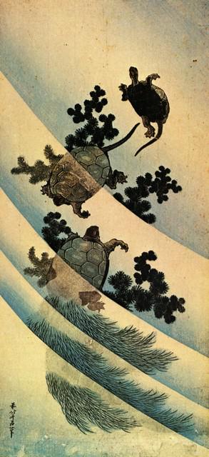 Hokusai - Turtles: Artist: Katsushika Hokusai - Title: Turtles - Medium: Fine Art Giclee on Canvas - Image Size: Approximately 32 inches x 14.5 inches - Unframed on Unstretched Canvas - Biography: ( c. 31 October 1760 -
