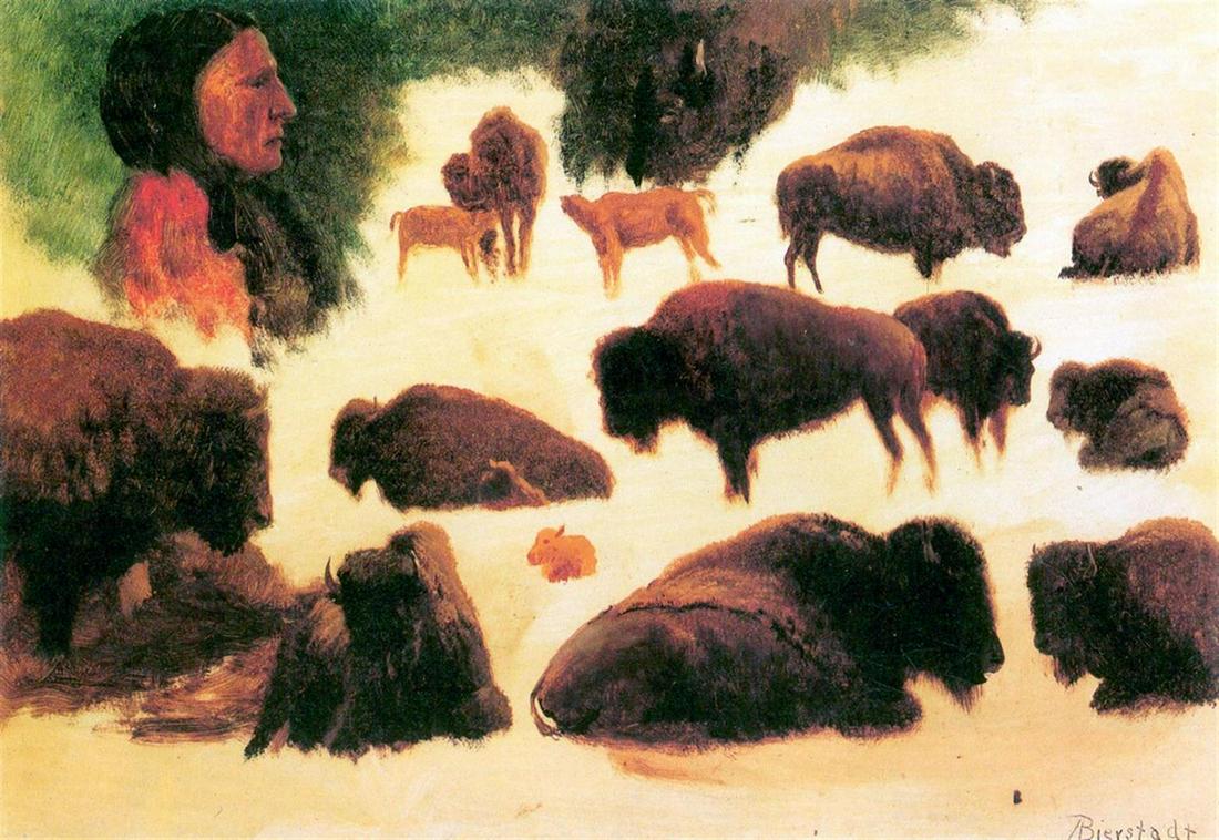 Study of Buffalos by Albert Bierstadt: Artist: Albert Bierstadt - Title: Study of Buffalos - Medium: Fine Art Giclee on Canvas - Image Size: Approximately 13.75 inches x 20 inches - Unframed on Unstretched Canvas - Biography: Bierstadt bec