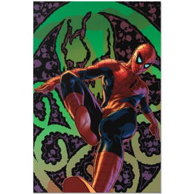 Amazing Spider-Man #524 by Marvel Comics (1 of 1)
