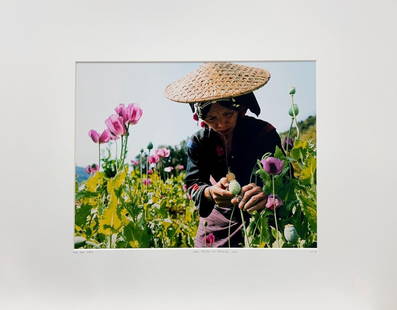 Lam Duc Hien Laos R?gion du triangle d'or Travel Flowers Asia Nature: Lam Duc Hien Laos Laos Region Du Triangle D Or YellowKorner Certified Photograph. Certificate of Authenticity from YellowKorner affixed to the back. Matted Dimensions 16"x20". Protected with Clear Myl