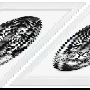 Tiger by Longo Robert: "Tiger" is a Limoges porcelain by Robert Longo. This plate is custom framed and floated on linen. Measures approx. 16" x 16" (frame) 11" (plate diameter).