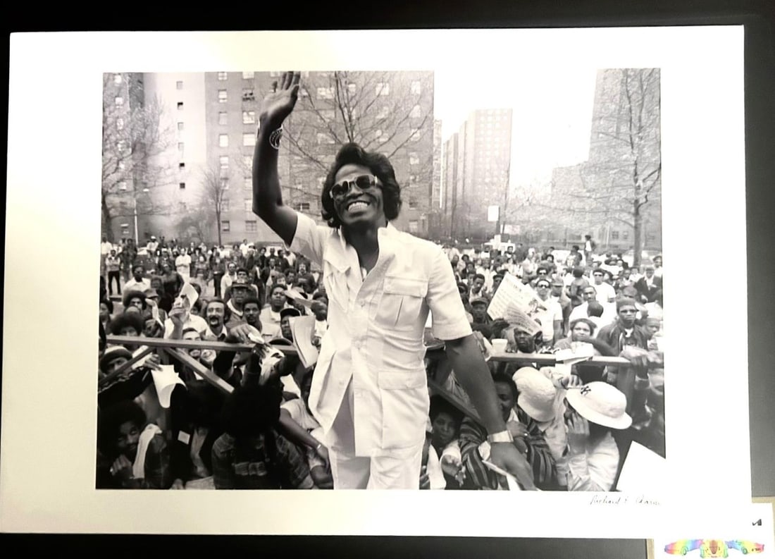 James Brown by Richard E Aaron: One of the world's biggest names, James Brown entertains the multitudes in an outdoor concert circa 1969. 12x17.5" B & W Photo by Richard Aaaron