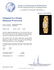 Chopard 1.25ctw Diamond La Strada Ladies Watch - 6