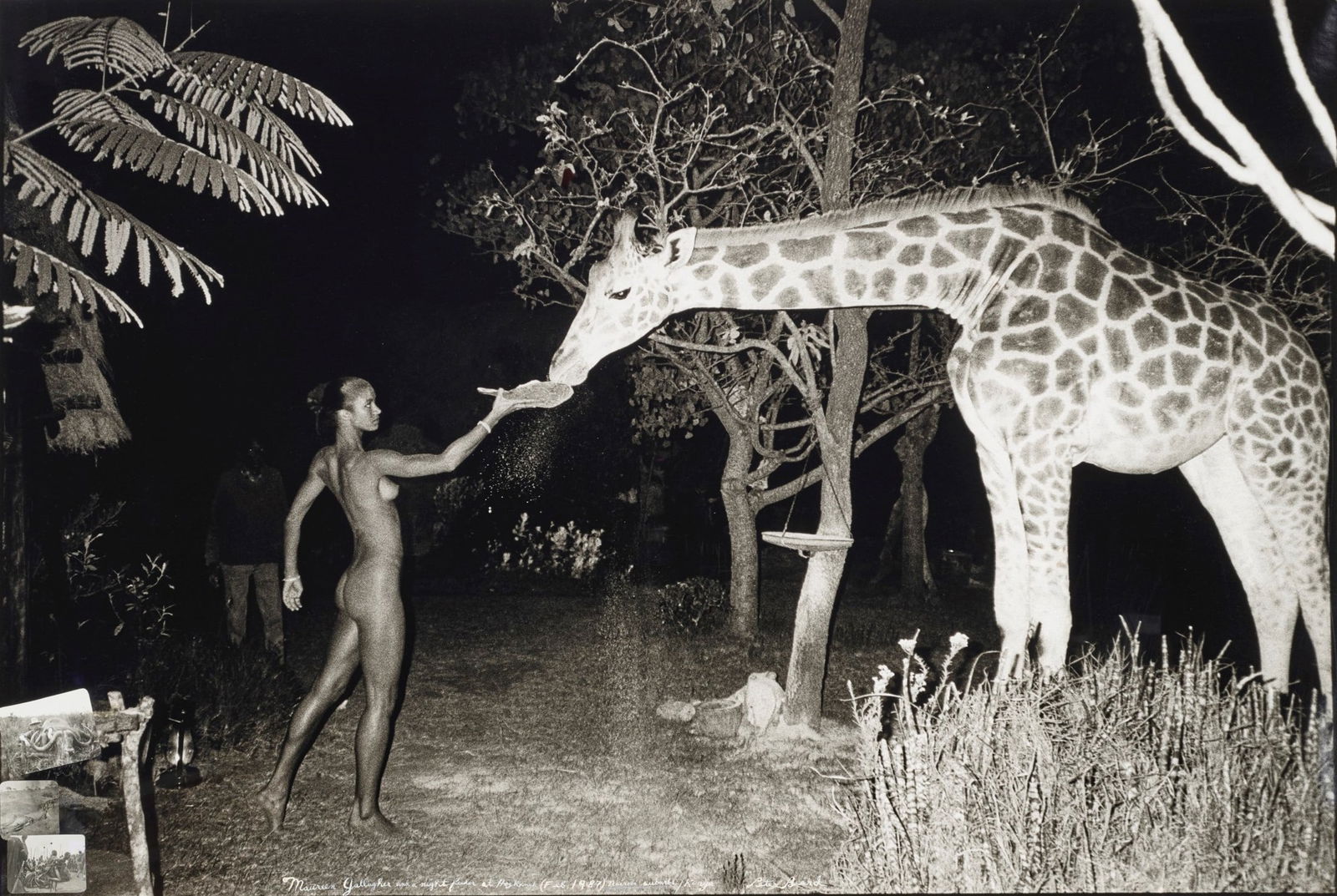 PETER BEARD NIGHT FEEDER PHOTO PRINT (1 of 1)