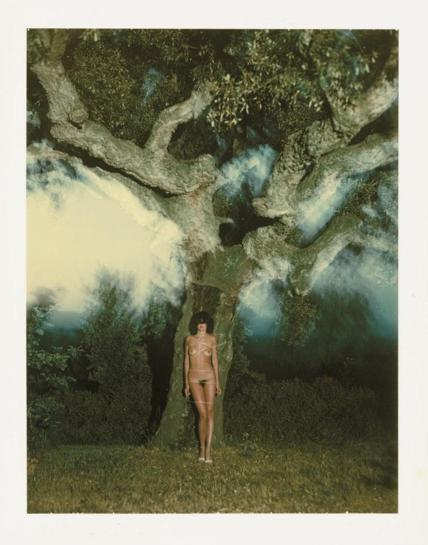 HELMUT NEWTON TIED TO TREE PRINT (1 of 1)