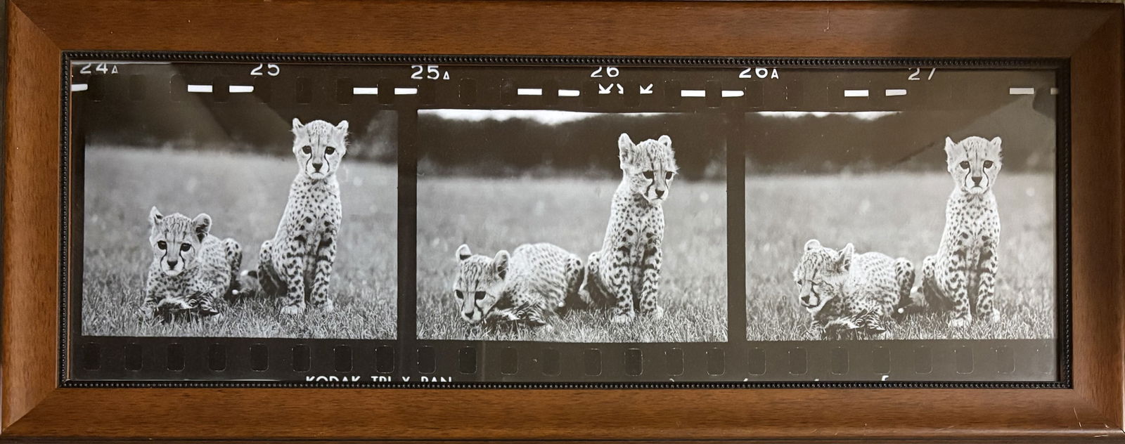 PETER BEARD 'JAGUARS' PRINT (1 of 2)