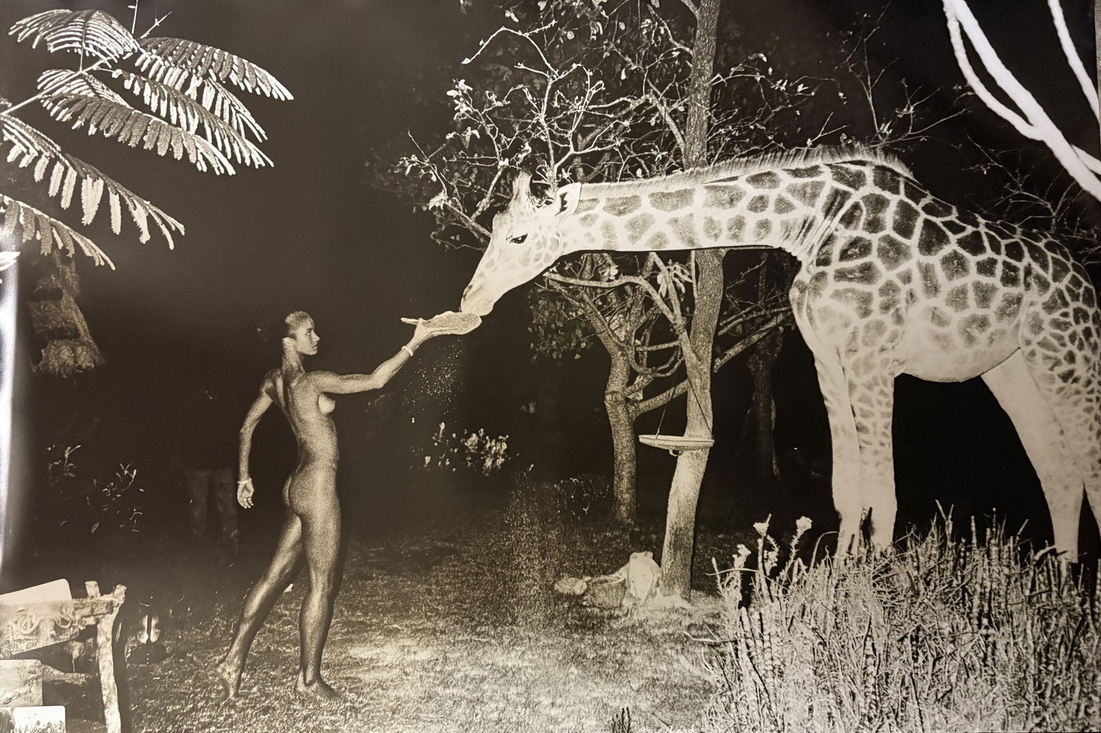 PETER BEARD NIGHT FEEDER PRINT (1 of 2)