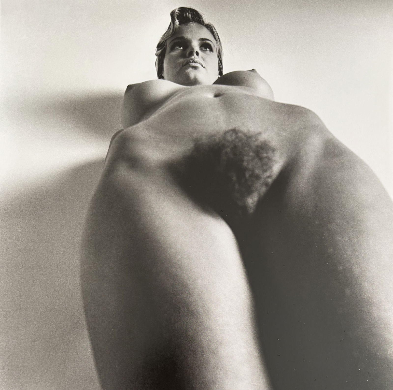 HELMUT NEWTON UNTITLED DUOTONE PRINT (1 of 1)