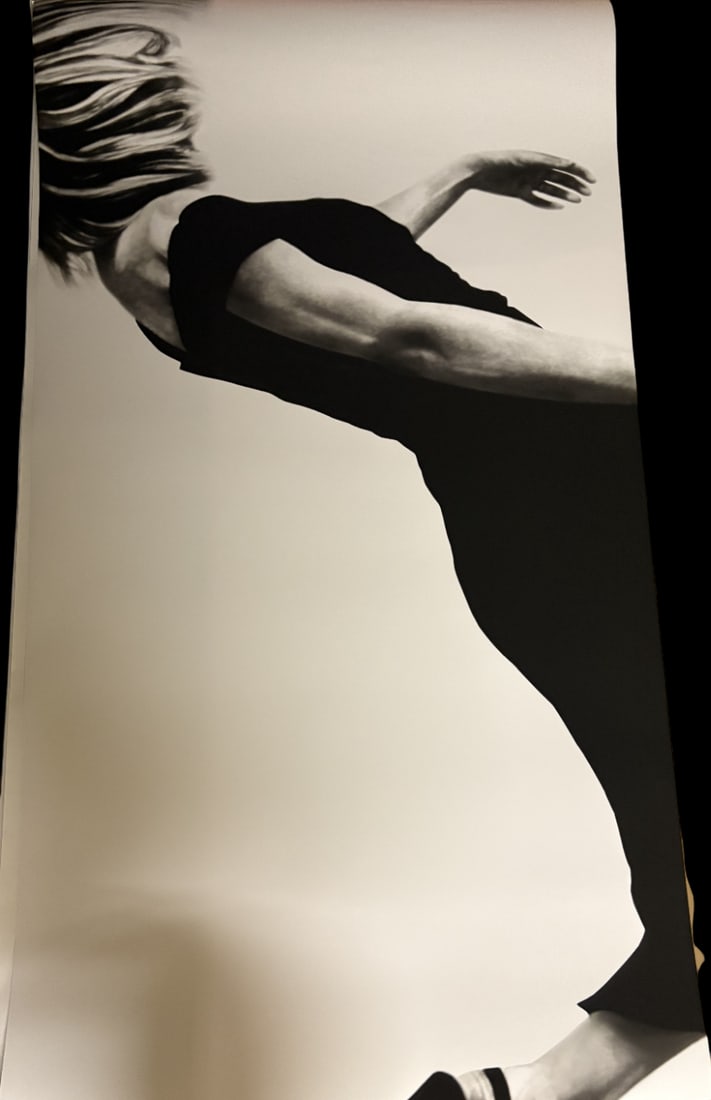 ROBERT LONGO WOMAN FALLING PRINT: Robert Longo Woman Falling Print measuring at 43x79 inches.