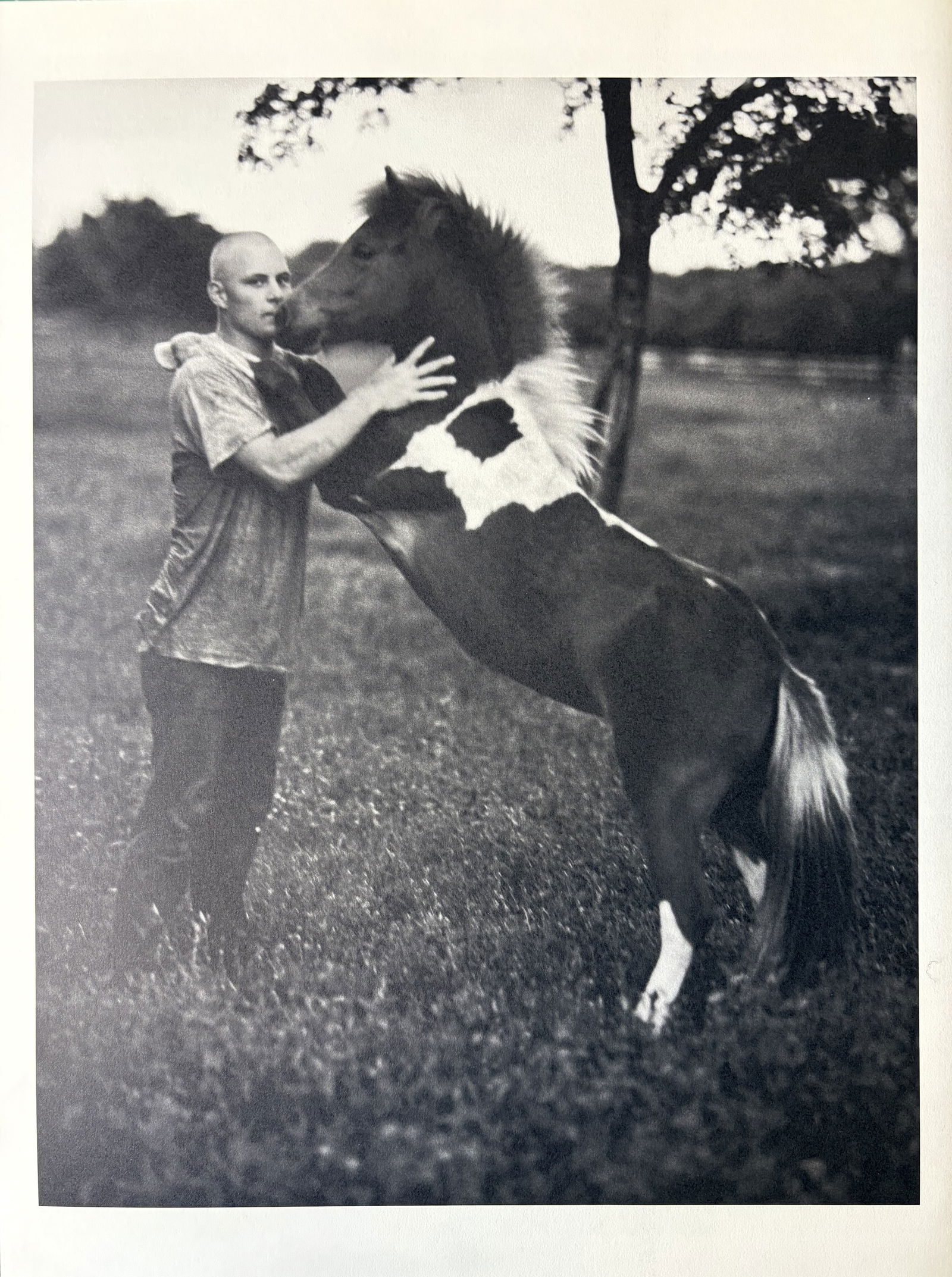 BRUCE WEBER HORSE GRAVURE: Bruce Weber Horse Gravure mounted to same size board measuring at 9x12 inches