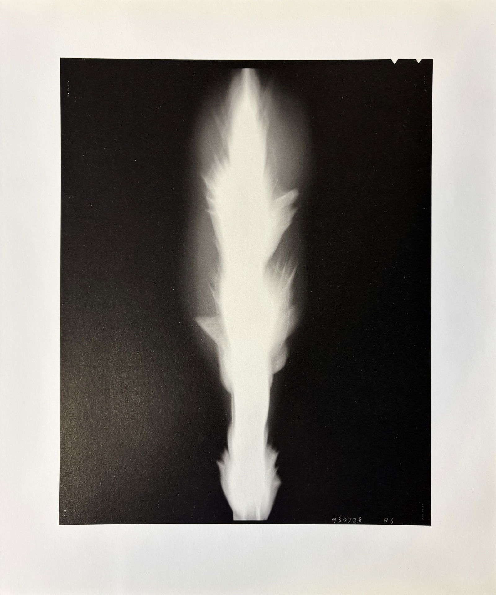 HIROSHI SUGIMOTO IN PRAISE OF SHADOW LITHO: Hiroshi Sugimoto in Praise of shadow litho mounted to same size board measuring at 11x11 inches
