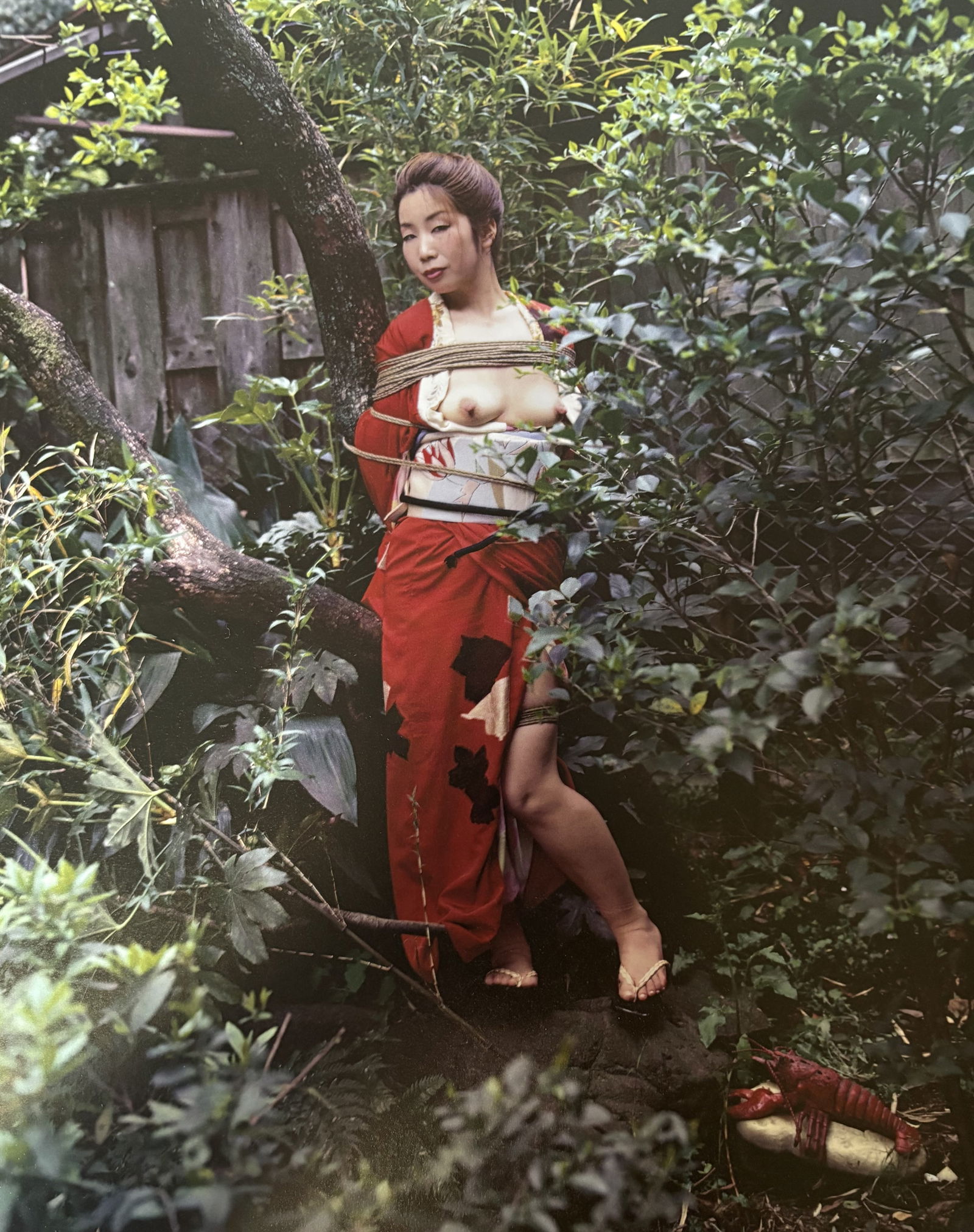 NOBUYOSHI ARAKI NUDE WOMAN PHOTO LITHO: Nobuyoshi Araki Nude Woman Photo Litho mounted to same size board measuring at 9.5x12 inches