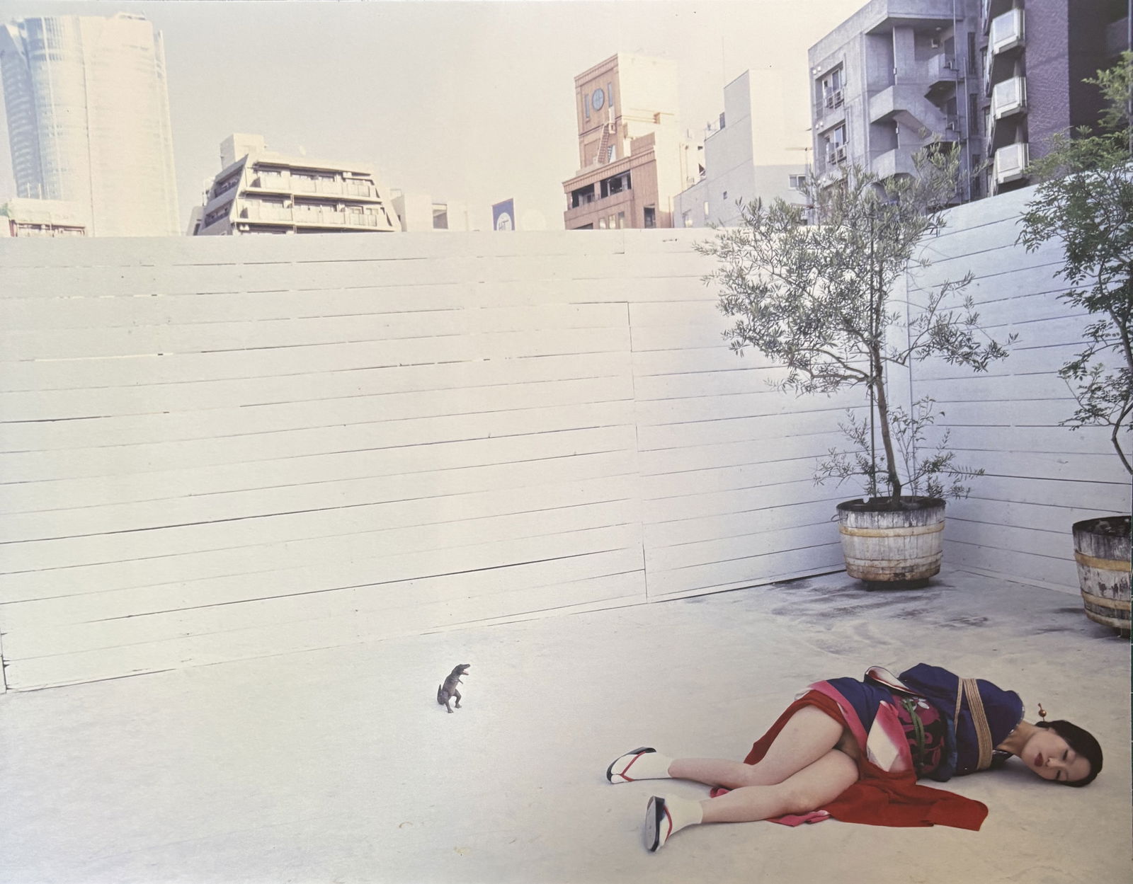 NOBUYOSHI ARAKI NUDE WOMAN PHOTO LITHO: Nobuyoshi Araki Nude Woman Photo Litho mounted to same size board measuring at 9.5x12 inches