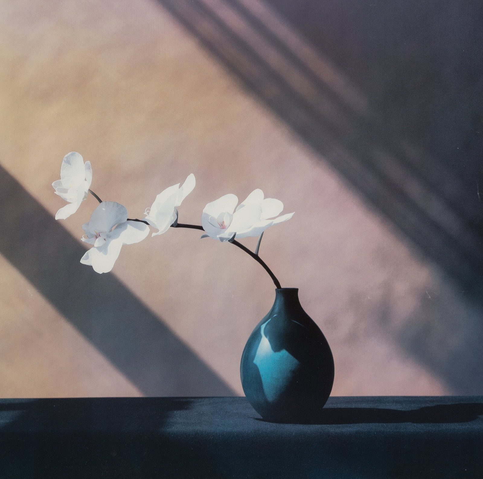 ROBERT MAPPLETHORPE CYPRIEEDIUM PRINT: Robert Mapplethorpe Cyprieedium Print measuring at 23x23 inches