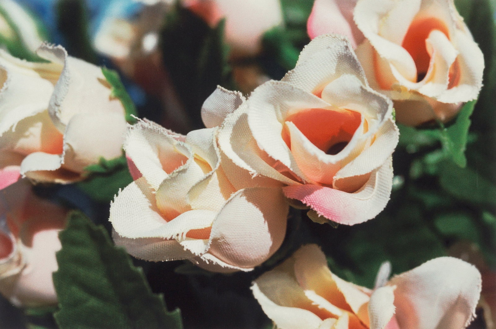 WILLIAM EGGLESTON UNTITLED PRINT: William Eggleston untitled print measuring at 18x27 inches