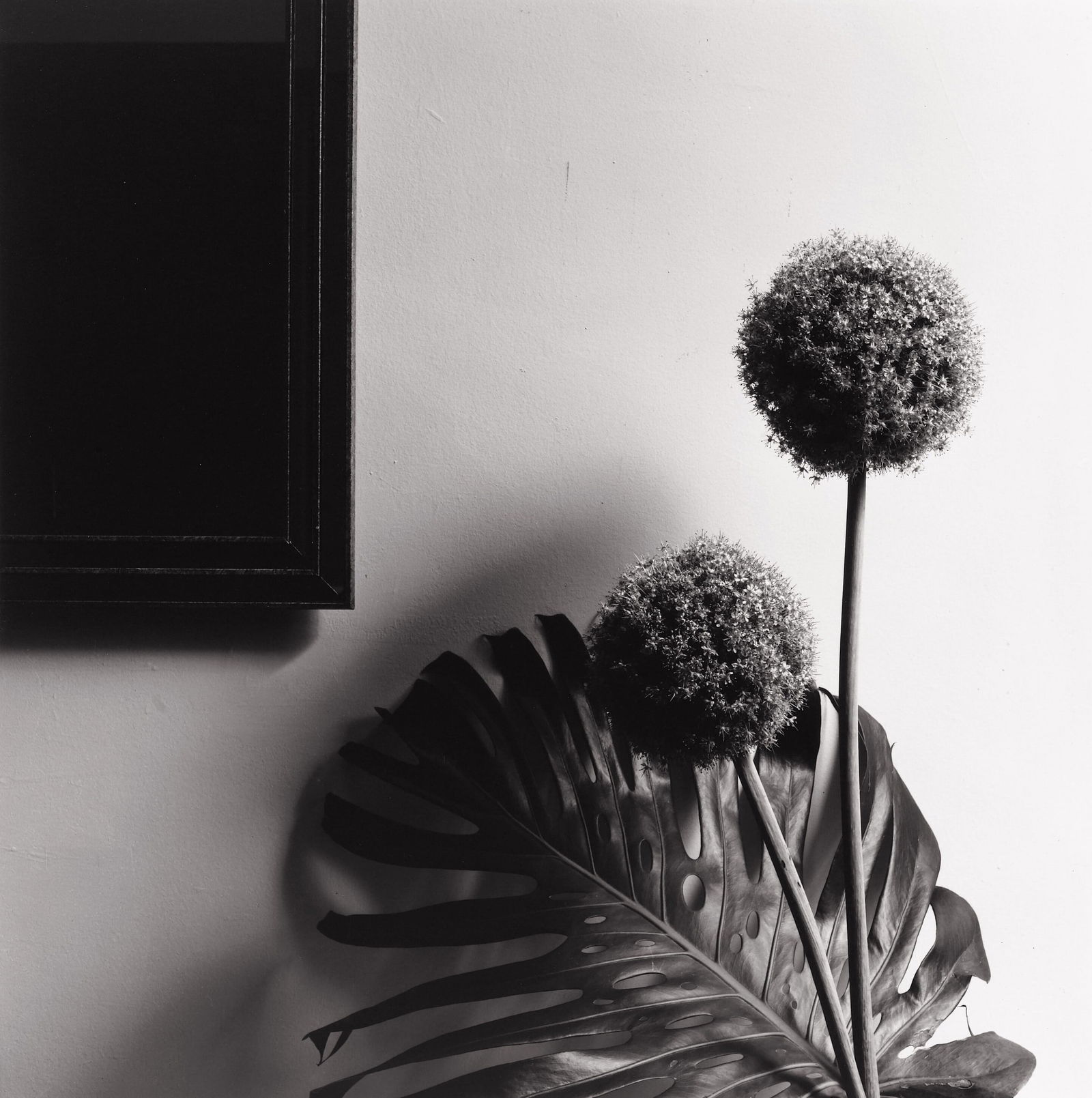 ROBERT MAPPLETHORPE UNTITLED PRINT (1 of 1)