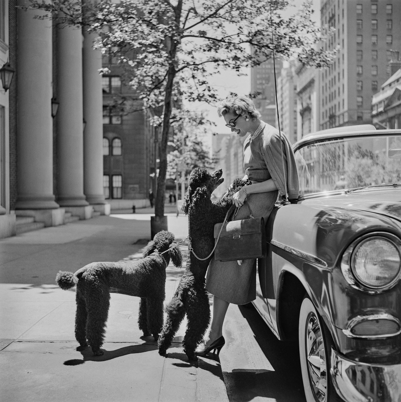 SLIM AARONS INGA LINDGREN AND POODLES PRINT (1 of 1)