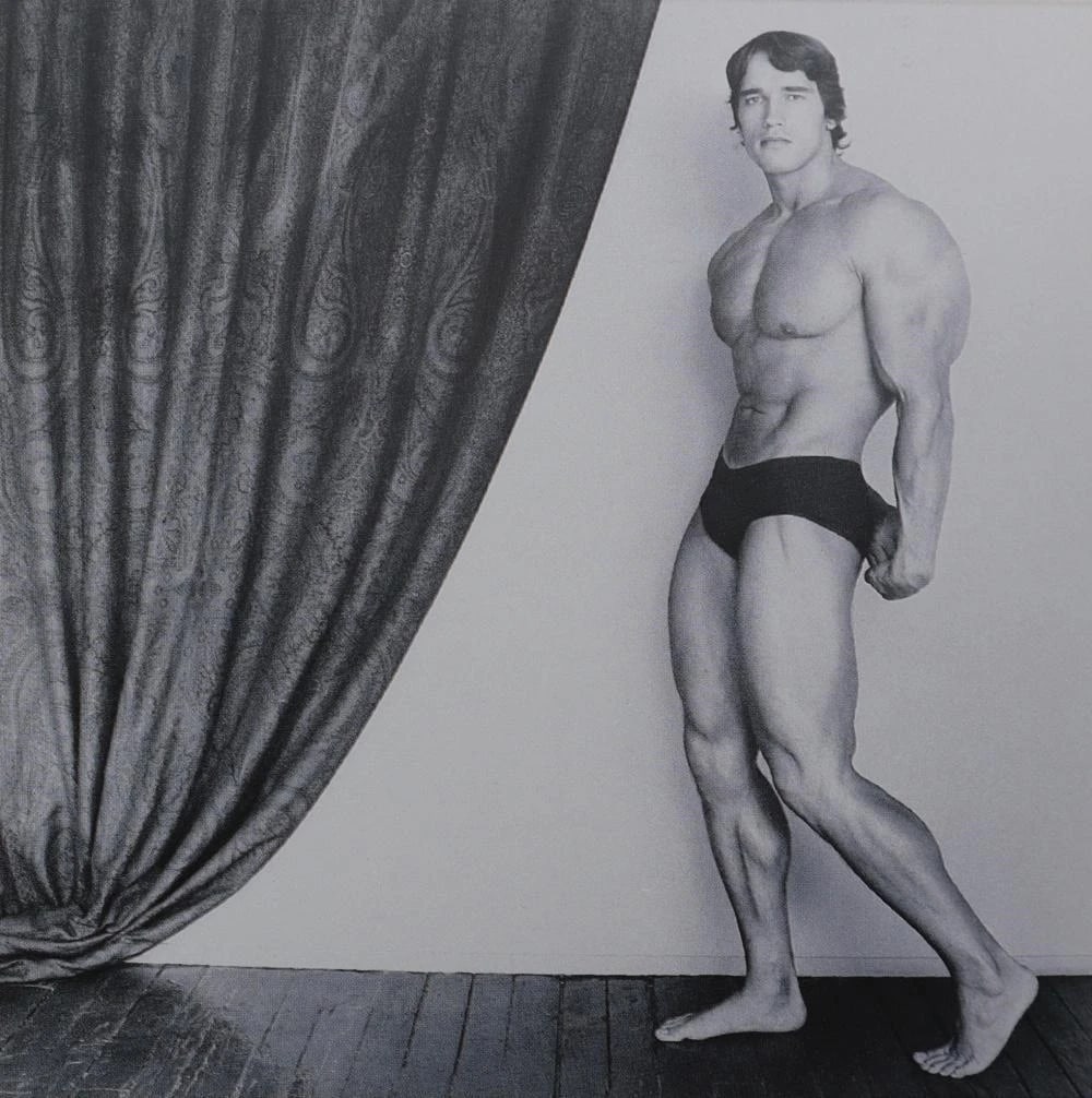 ROBERT MAPPLETHORPE ARNOLD SHWARZENEGGER PRINT (1 of 1)