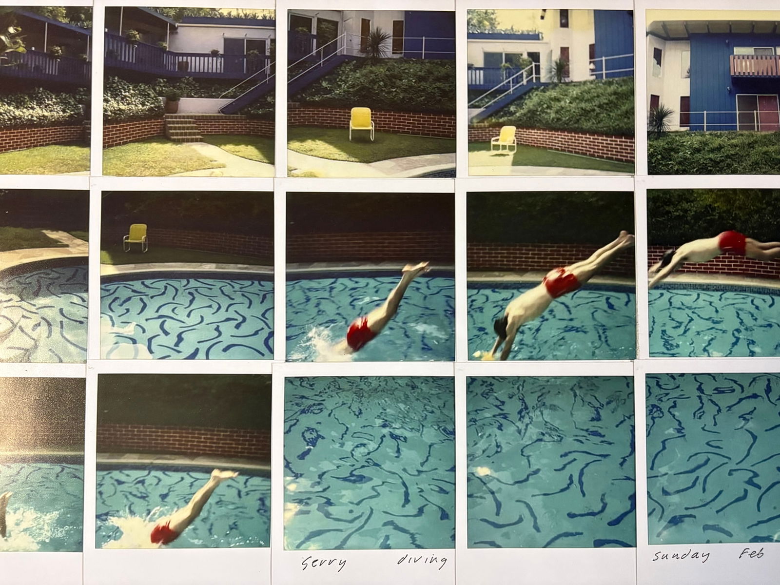 DAVID HOCKNEY JERRY DIVING PRINT - 2