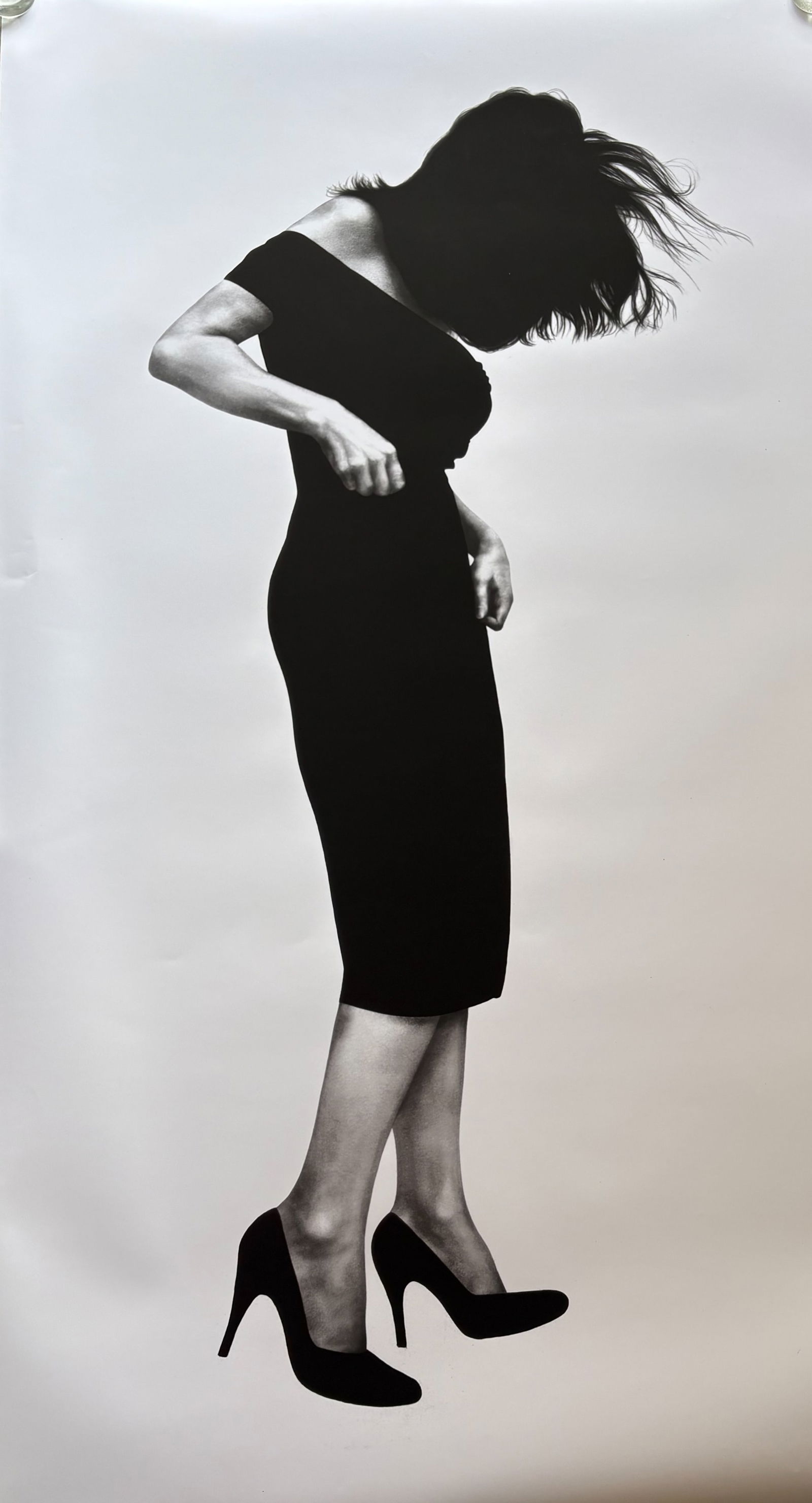 ROBERT LONGO WOMAN FALLING PRINT (1 of 1)