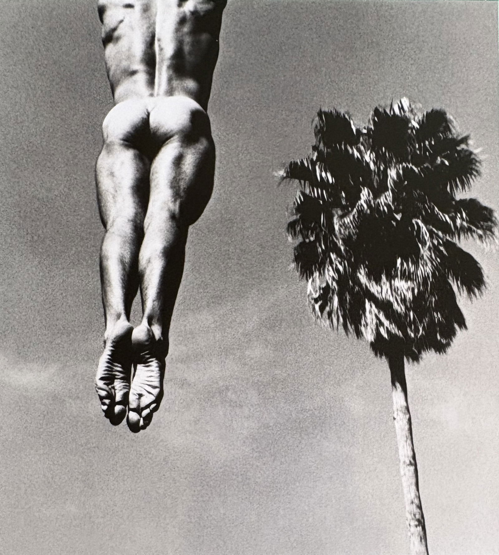 TOM BIANCHI NUDE STUDY PRINT: Tom Bianchi Nude Study print mounted to board measuring at 6.25x7 inches