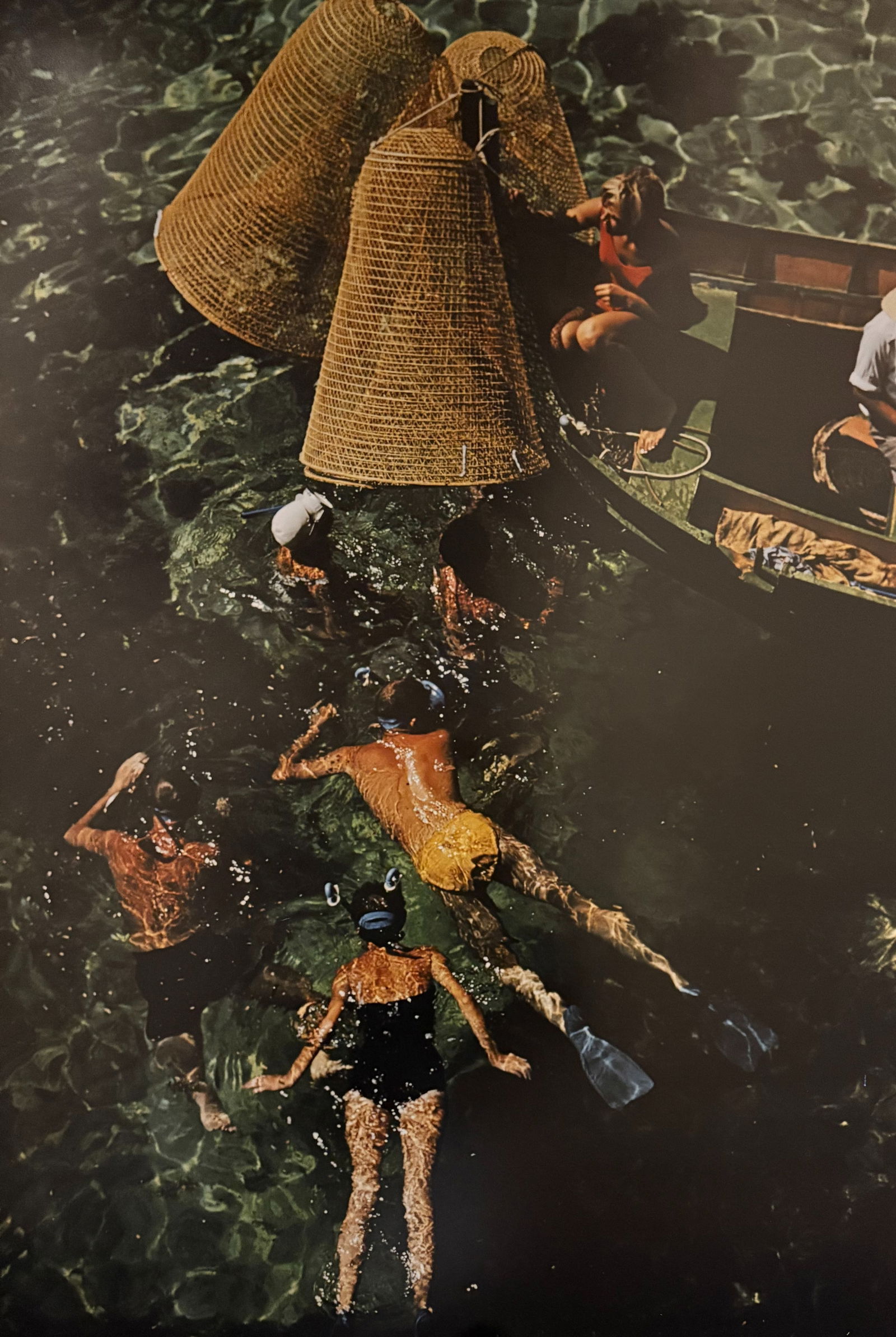 SLIM AARONS SNORKELLING IN MALT PRINT (1 of 1)