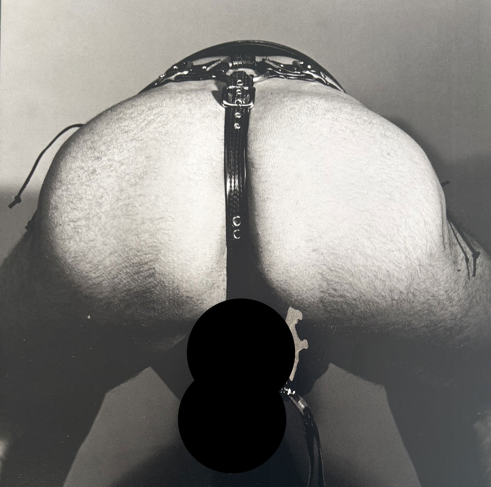 ROBERT MAPPLETHORPE HELMUTS BUTT PHOTO LITHO: Robert Mapplethorpe Helmuts Butt Photo lithograph mounted to board measuring at 7.5x7.5 inches