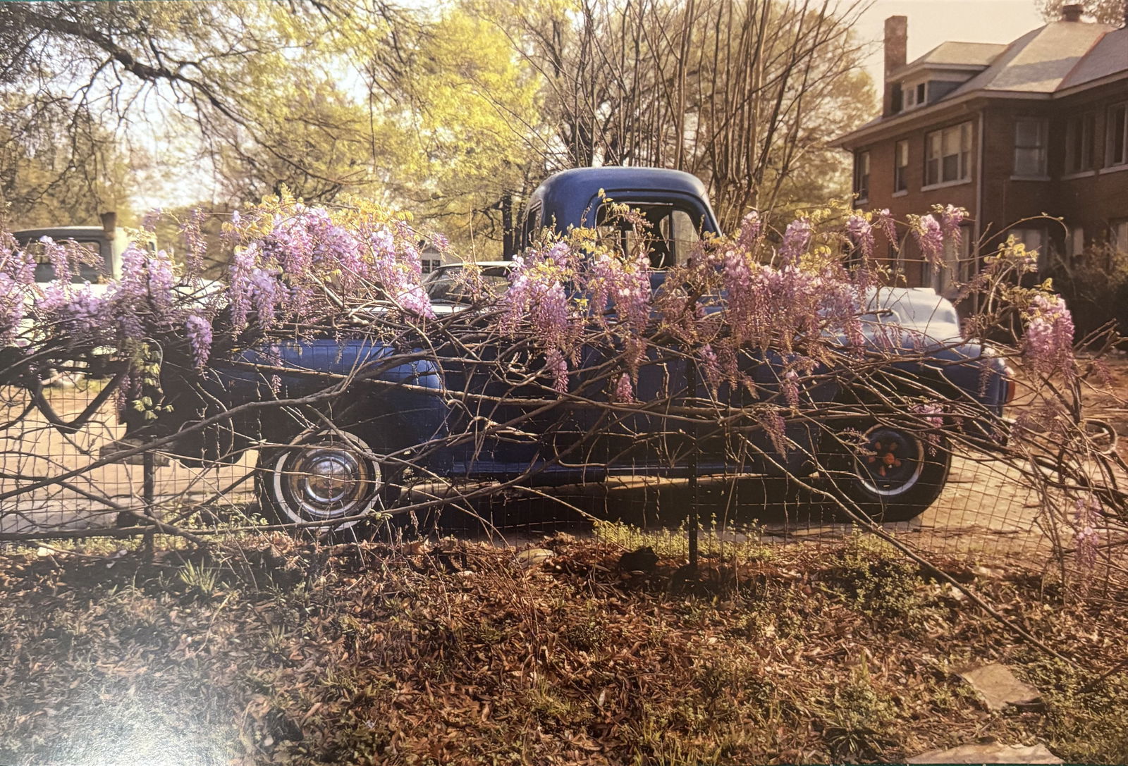 WILLIAM EGGLESTON MEMPHIS PHOTO LITHO (1 of 1)
