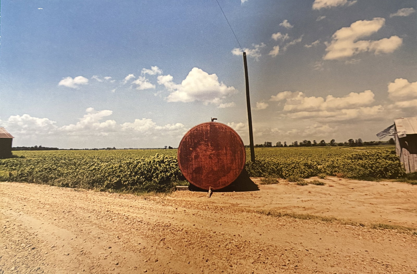 WILLIAM EGGLESTON UNTITLED PHOTO LITHO (1 of 1)