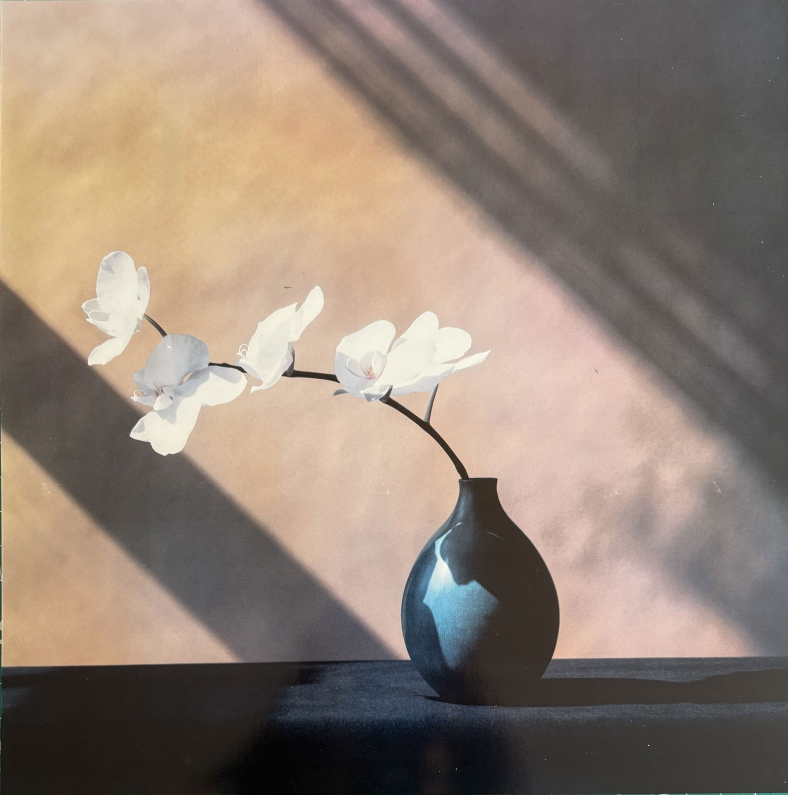 ROBERT MAPPLETRHORPE FLOWERS IN VASE PRINT (1 of 1)