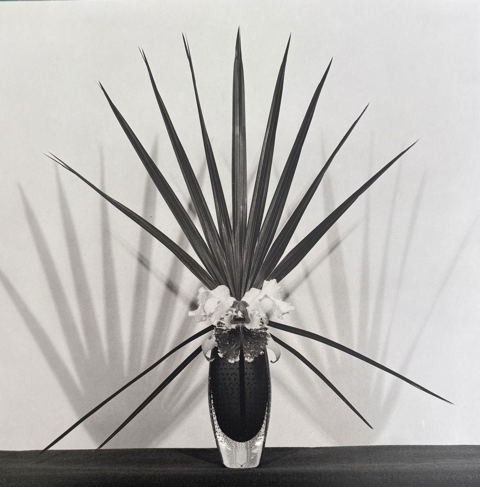 FRANCESCA WOODMAN ORCHID WITH PALMETTO LEAH PHOTO LITHO (1 of 1)