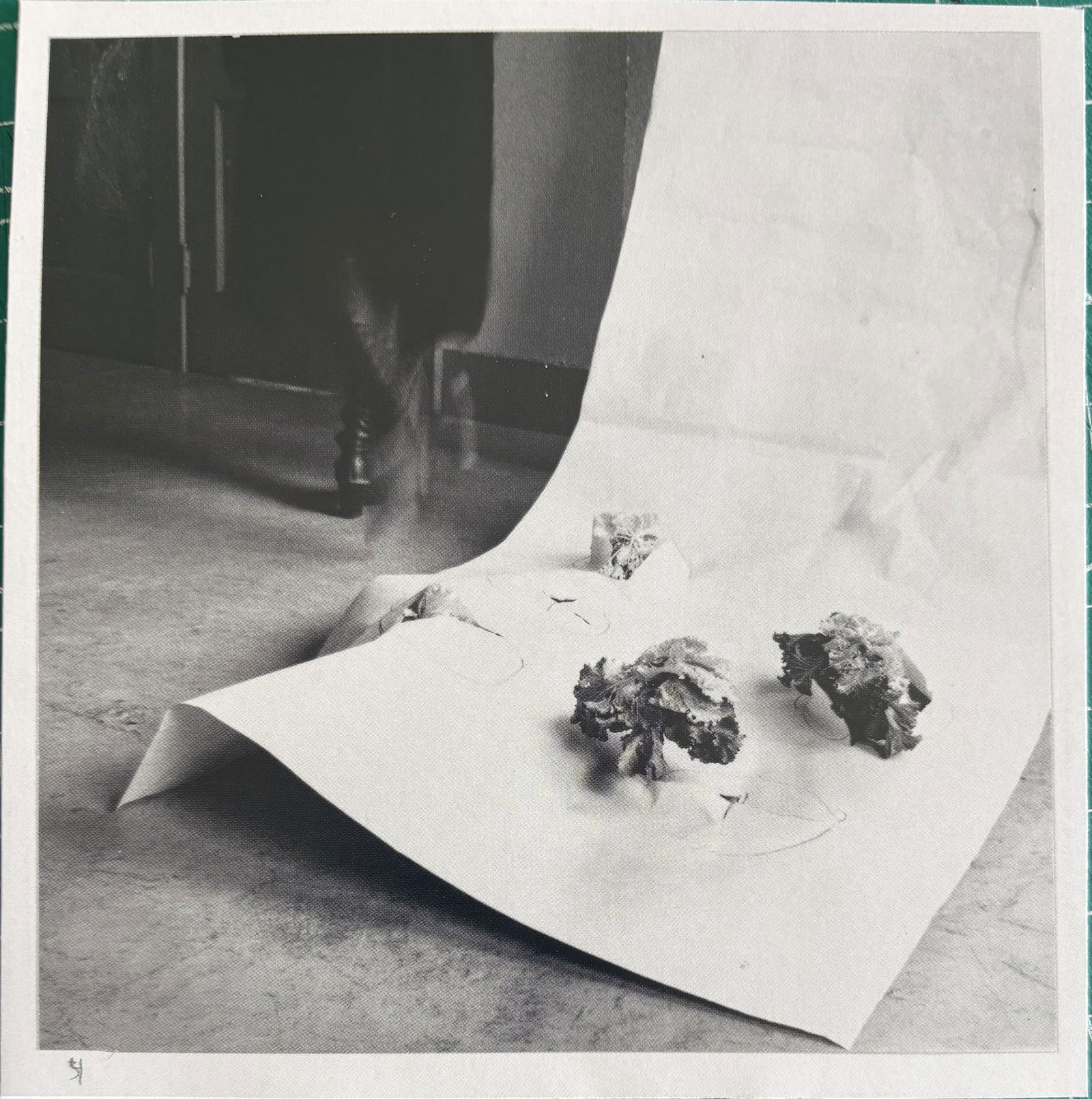 FRANCESCA WOODMAN SPRING IN PROVIDENCE PHOTO LITHO: Francesca Woodman Spring in Providence Photo Lithograph mounted to same size board measuring at 5.25x5.25 inches