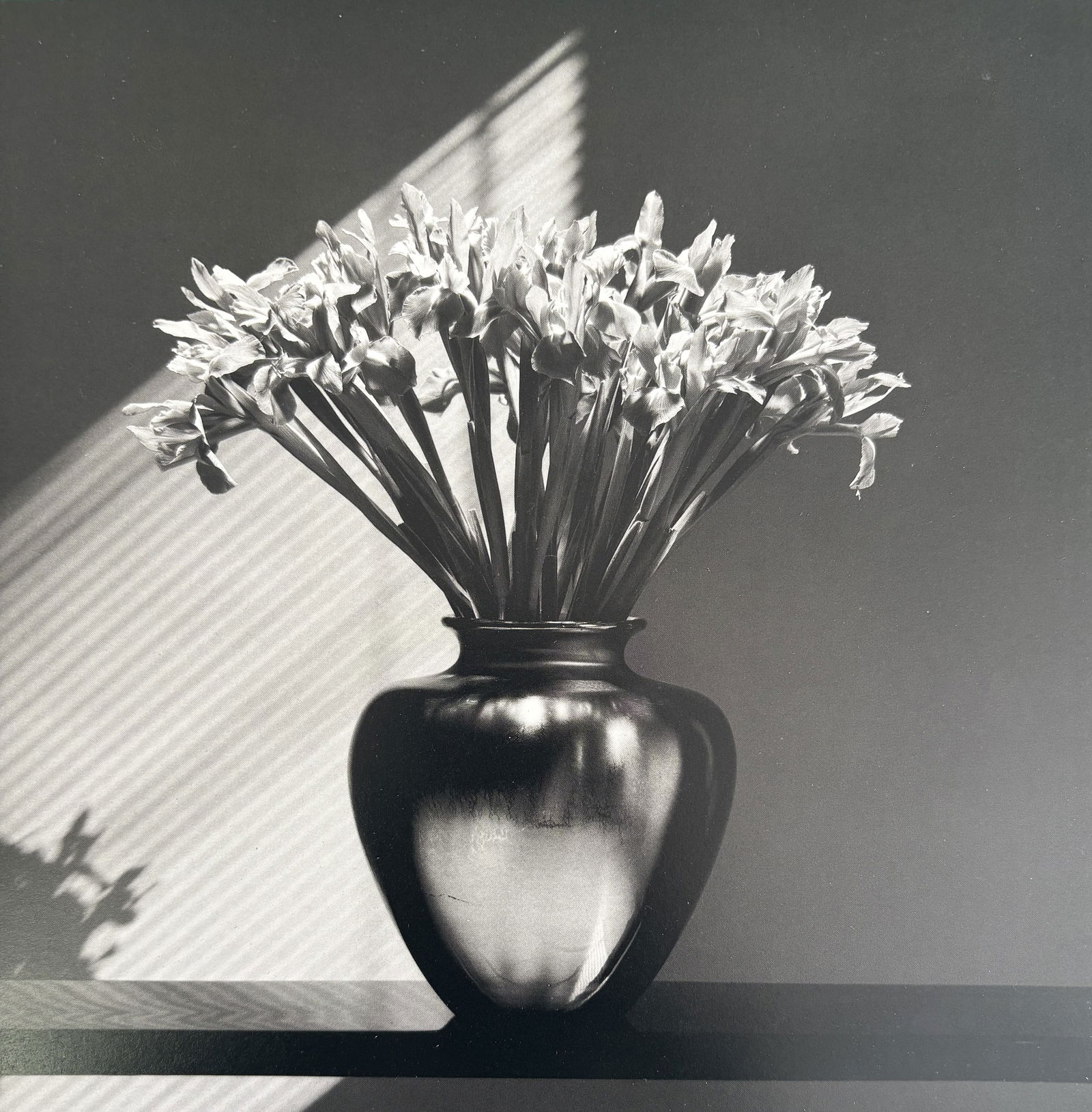 ROBERT MAPPLETHORPE IRISES PHOTO LITHO: Robert Mapplethorpe Irises Photo Lithograph mounted to same size board measuring at 7.5x7.5 inches