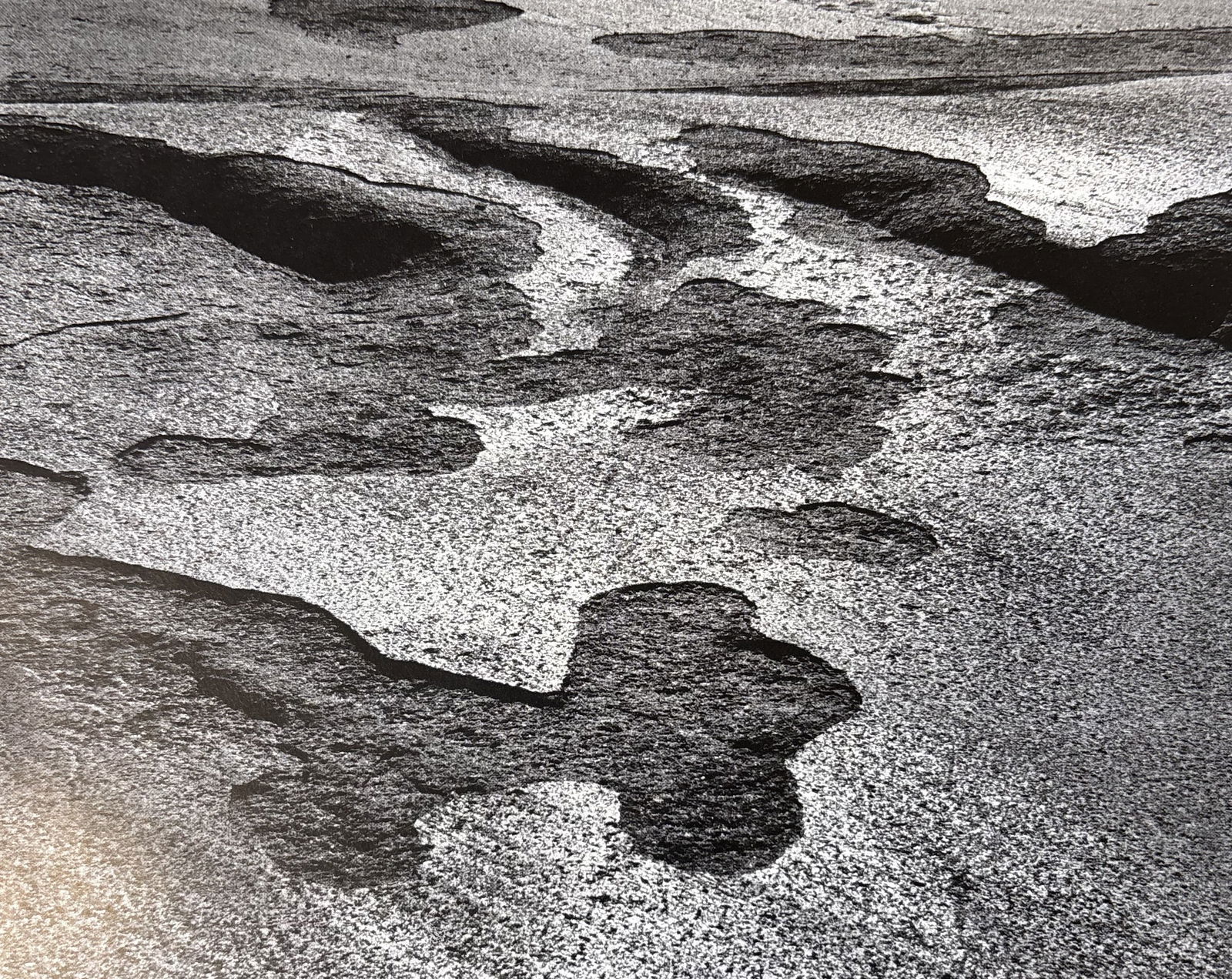 ANSEL ADAMS PEBBLES AND KELP PHOTO LITHO (1 of 1)