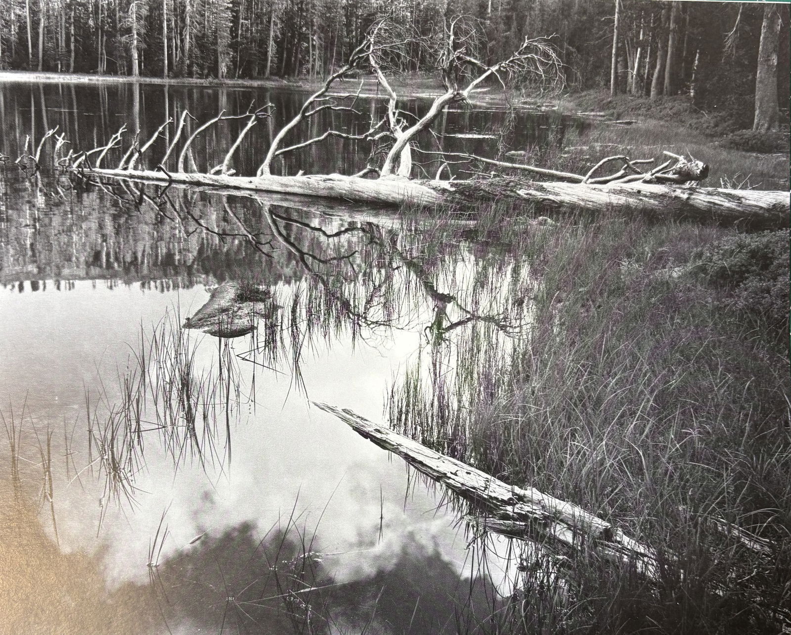 ANSEL ADAMS SIESTA LAKE PHOTO LITHO (1 of 1)