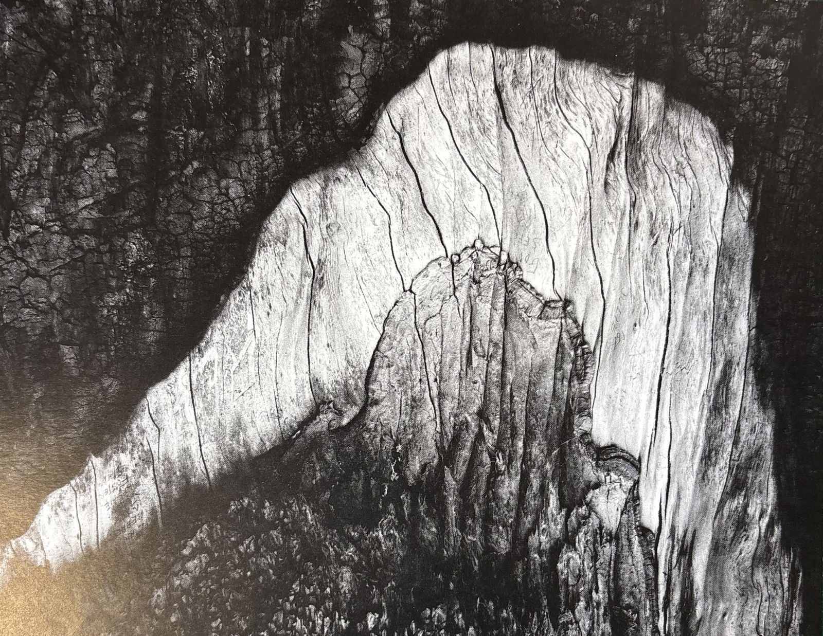 ANSEL ADAMS STUDY OF BARK PHOTO LITHO: Ansel Adams Study of Bark Photo Lithograph mounted to same size board measuring at 7.5x9.25 inches