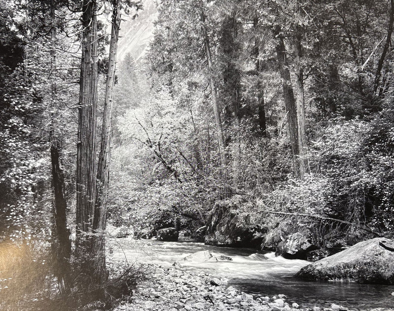 ANSEL ADAMS TENAYA CREEK PHOTO LITHO (1 of 1)