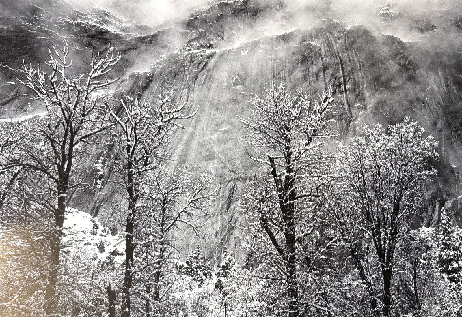 ANSEL ADAMS TREES AND CLIFFS OF EAGLE PEAK PHOTO LITHO: Ansel Adams Trees and Cliffs of Eagle Peak Photo Lithograph mounted to same size board measuring at 7x10 inches