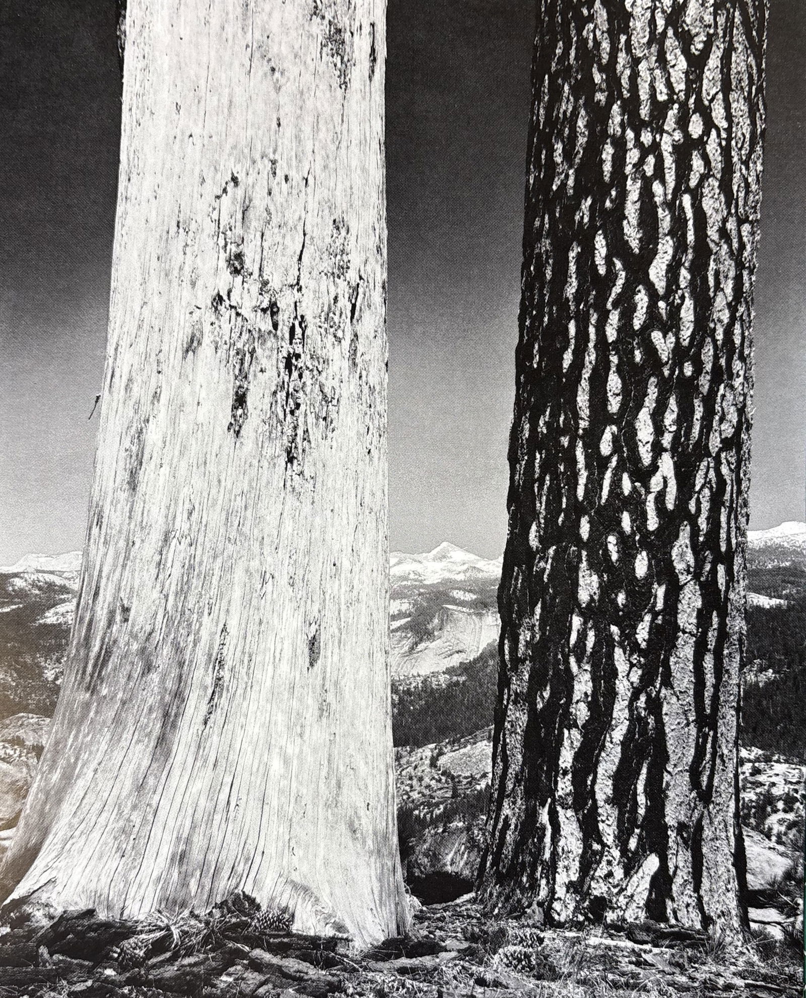 ANSEL ADAMS UNTITLED PHOTO LITHO: Ansel Adams Untitled Photo Lithograph mounted to same size board measuring at 6x7.5 inches