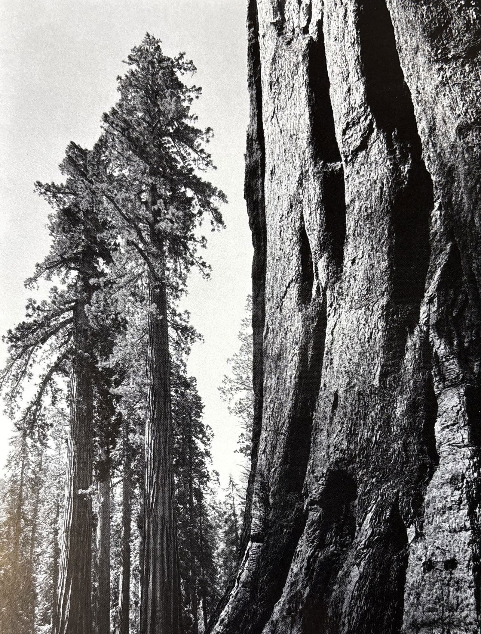 ANSEL ADAMS UNTITLED PHOTO LITHO (1 of 1)