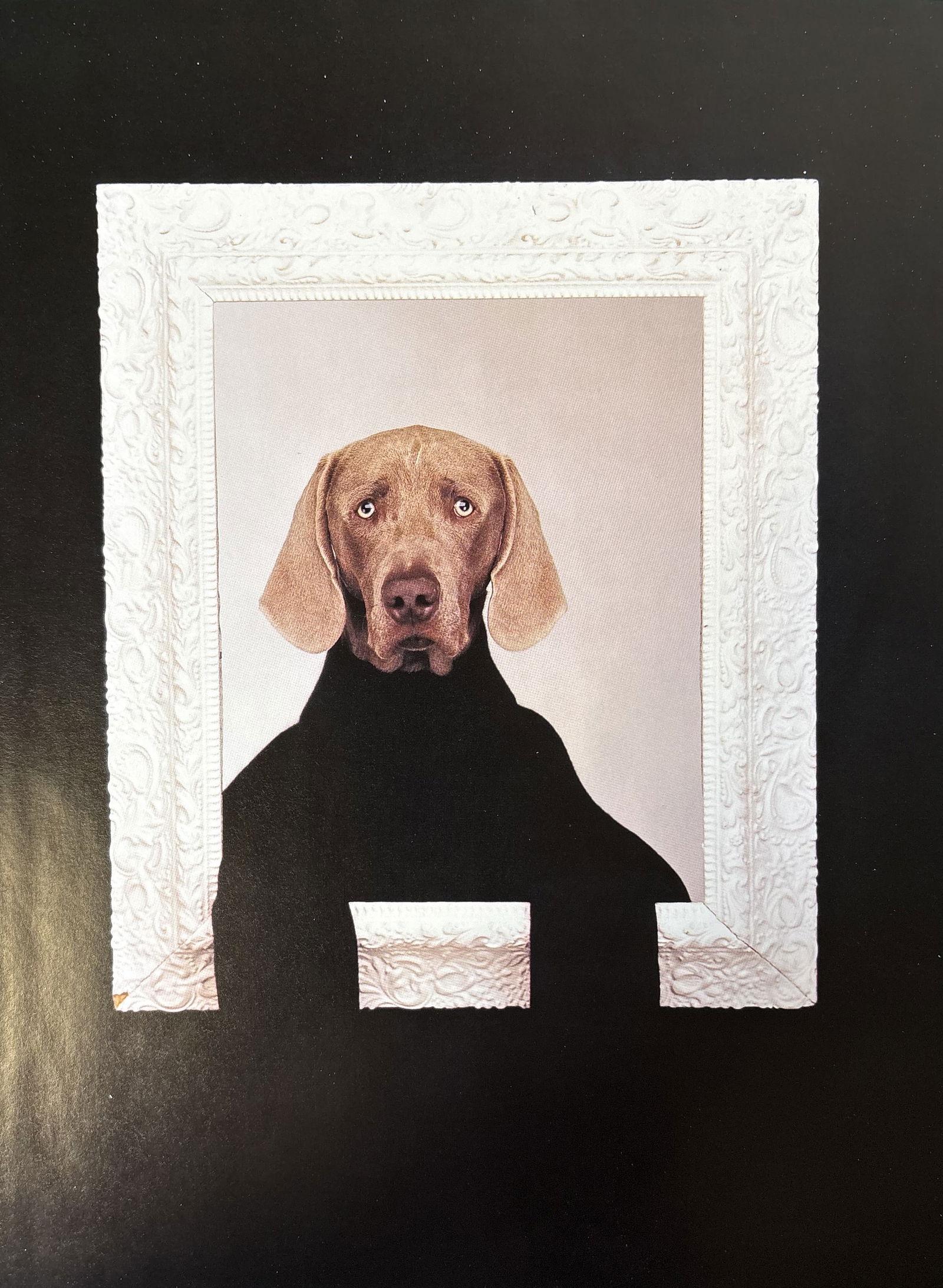 WILLIAM WEGMANN PUPPIES PHOTO LITHO (1 of 1)